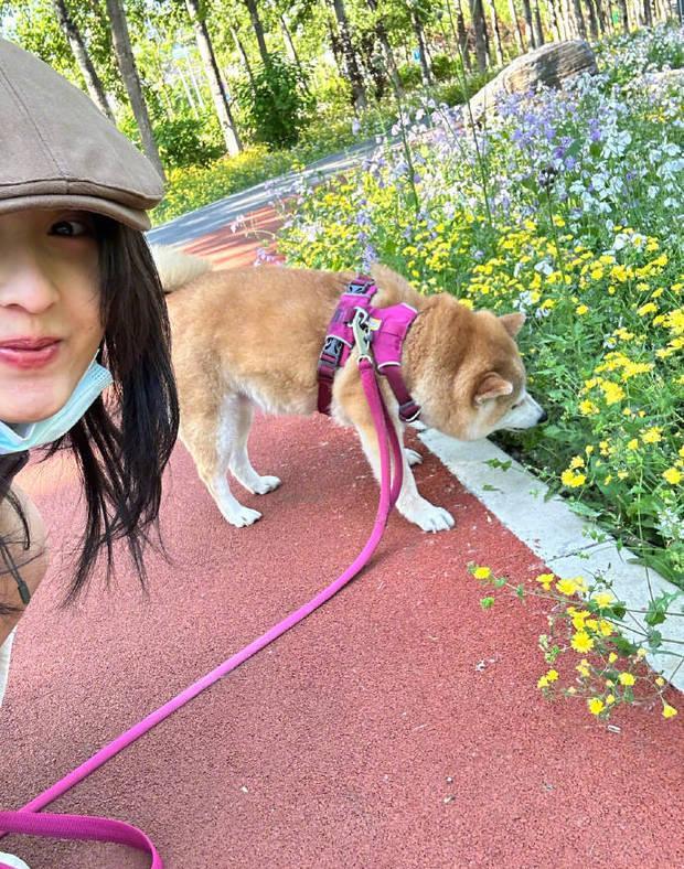 张子枫带狗狗遛弯照片