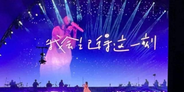 肖战追星孙燕姿演唱会现场
